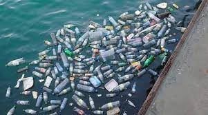 Día mundial de los océanos; protégelos de los plásticos tan dañinos para cualquier especie animal. - Imagen 5