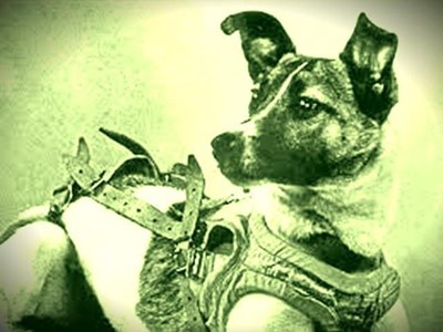 Laika, el primer perro espacial.