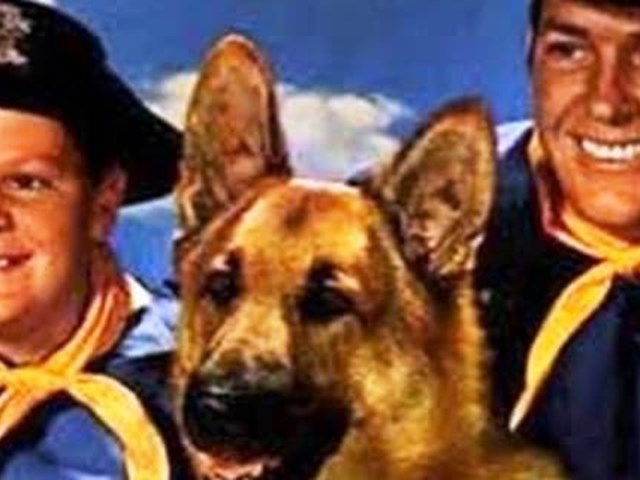 RIN TIN TIN, estrella de hollywood: Las aventuras de un pastor alemán en el Lejano Oeste.