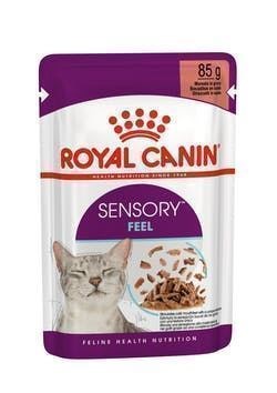 ROYAL CANIN Sensory; su salud se enriquece estimulando sus sentidos. - Imagen 8