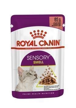 ROYAL CANIN Sensory; su salud se enriquece estimulando sus sentidos. - Imagen 5
