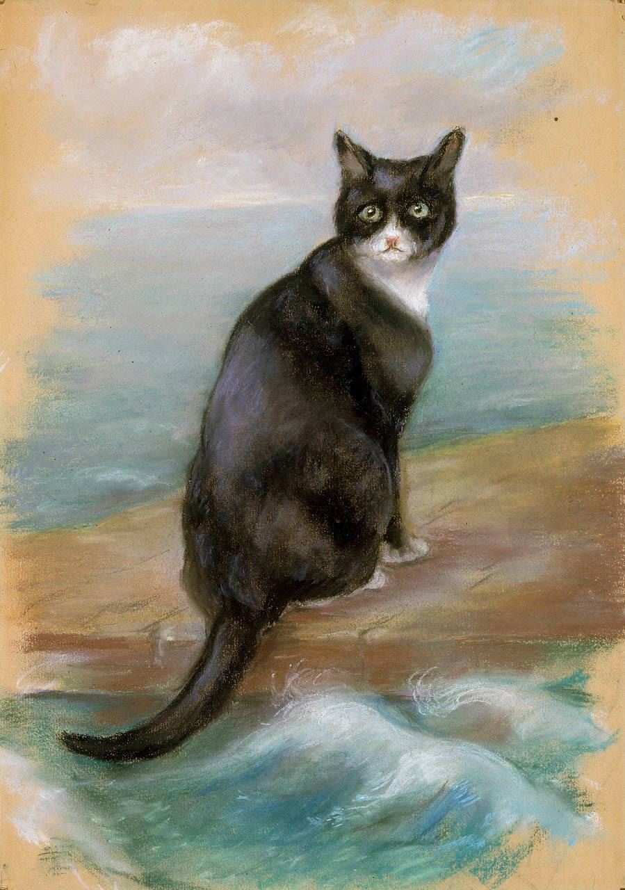 Sam el Insumergible, el gato que sobrevivió a tres hundimientos de buques en la Segunda Guerra Mundial. - Imagen 7