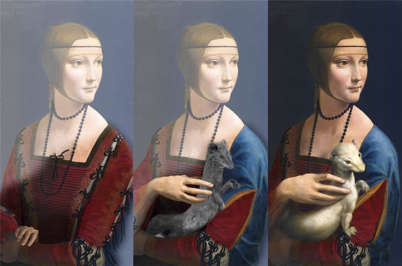 Viernes de arte con animales: Cuadro de Leonardo Da Vinci, "La Dama del Armiño". - Imagen 5