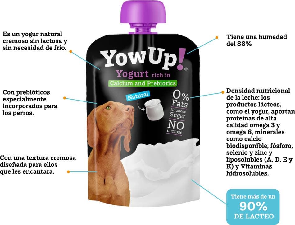 Yow up: yogures para perros y gatos. Sin lactosa, sin azúcar y sin grasa. - Imagen 2