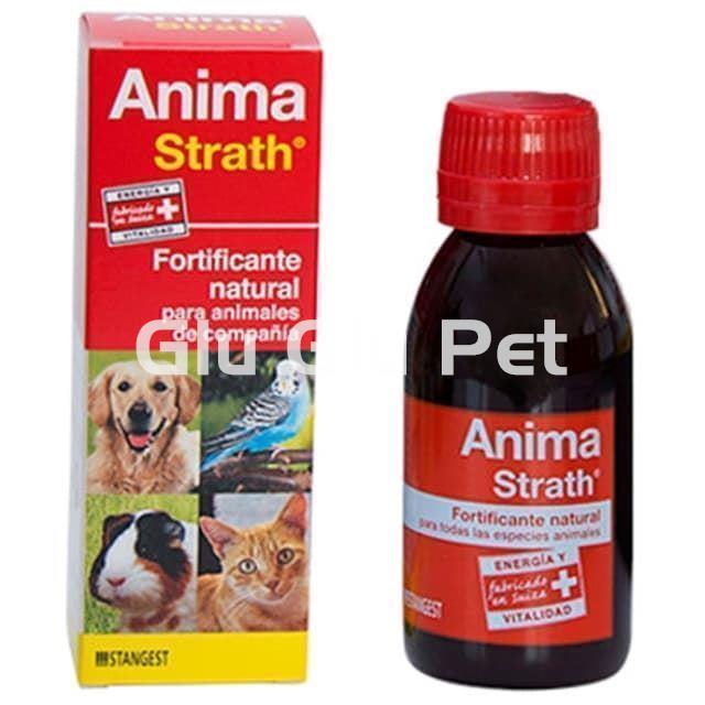 Anima Strath Fortifying Supplement - Image 1