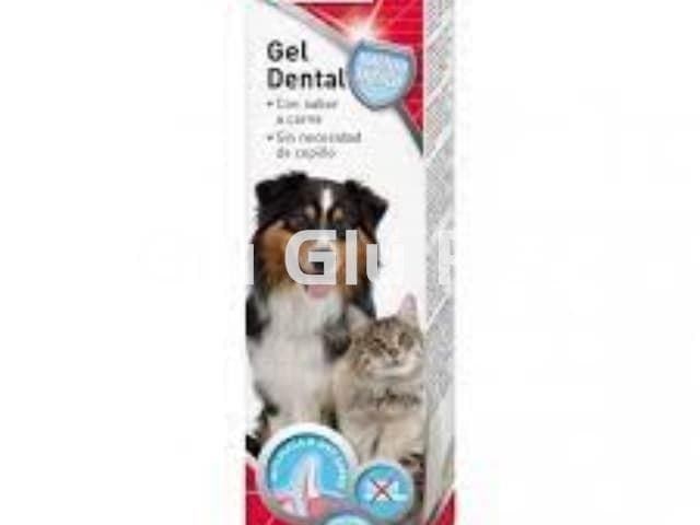 BEAPHAR products to combat your cat's bad breath and dental health.