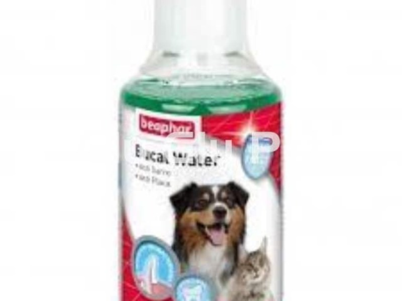 Buy our new BEAPHAR products to combat your dog's bad breath and dental health.