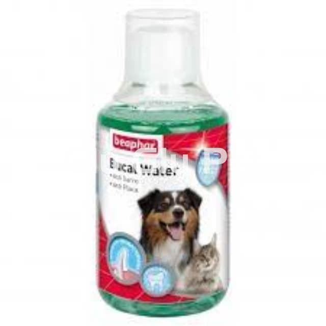 Buy our new BEAPHAR products to combat your dog's bad breath and dental health. - Imagen 1