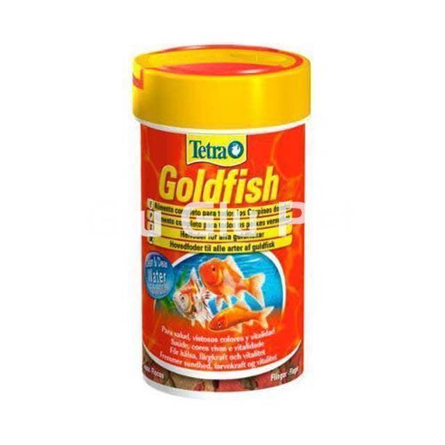 Goldfish, the best known cold water red fish in the world. - Imagen 11