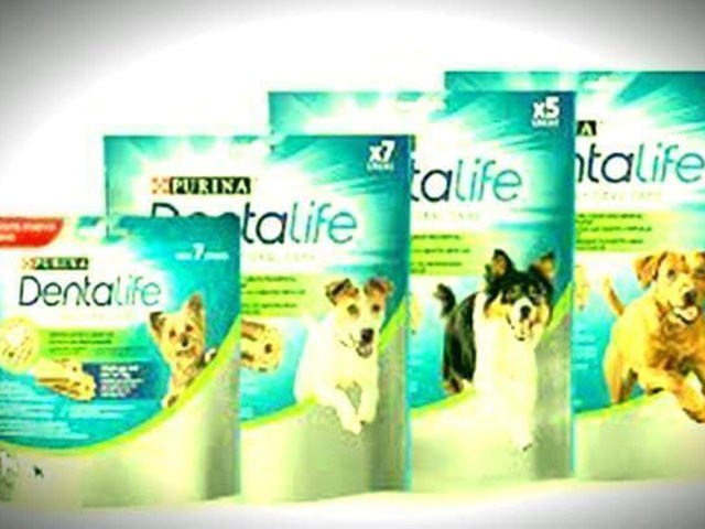 How to combat your dog's bad breath with Purina's Dentalife.
