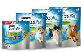 How to combat your dog's bad breath with Purina's Dentalife. - Imagen 1