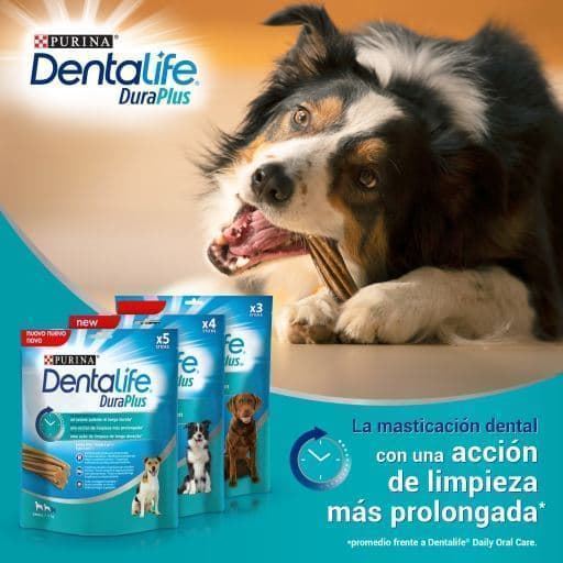How to combat your dog's bad breath with Purina's Dentalife. - Imagen 5