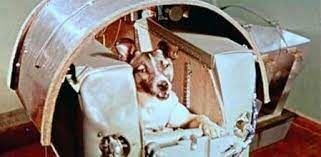 Laika, the first space dog. - Imagen 1