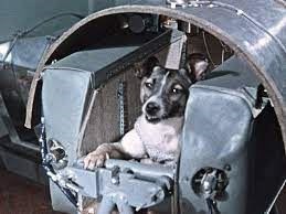 Laika, the first space dog. - Imagen 2