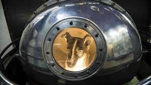 Laika, the first space dog. - Imagen 4