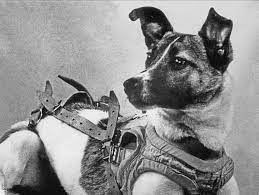 Laika, the first space dog. - Imagen 5