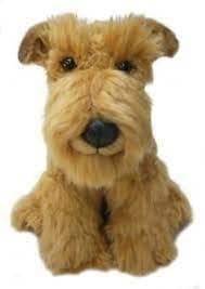 The Airedale terrier breed, the king of terriers. - Imagen 3