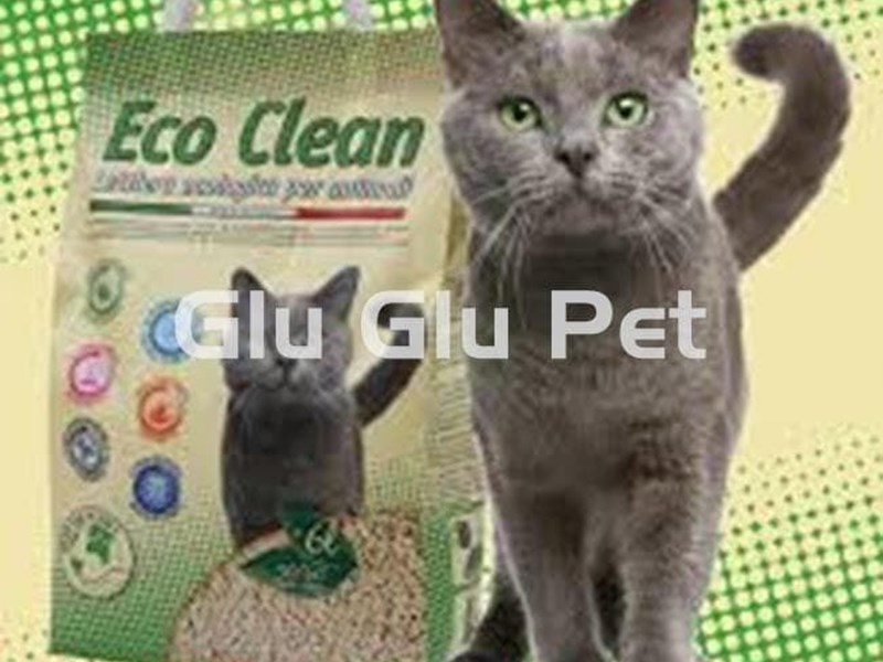 The best litters for your cat, we help you choose the most suitable one.