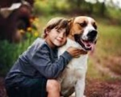 What does a pet contribute to your child in its development.