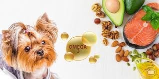 You want to have your pet as healthy as possible, its nutrition is in your hands. - Imagen 4