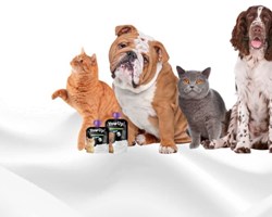 Yow up: yogurts for dogs and cats. Without lactose, without sugar and without fat.
