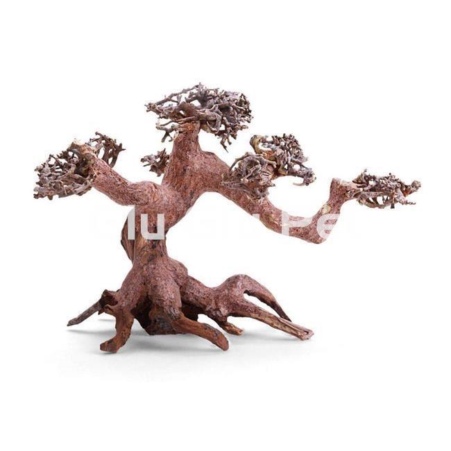 BONSAI WITH SEPARATE BRANCHES - Image 1