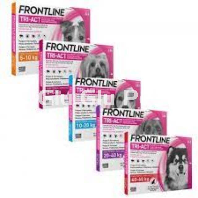 Frontline pipettes (box of 6 units) - Image 1