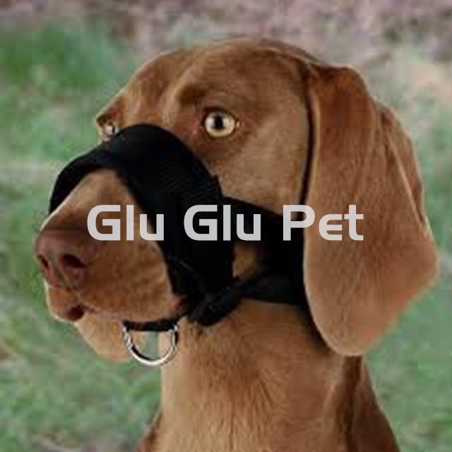 NOBBY MUZZLES WITH BOW - Image 2