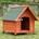Wooden doghouse - Image 1