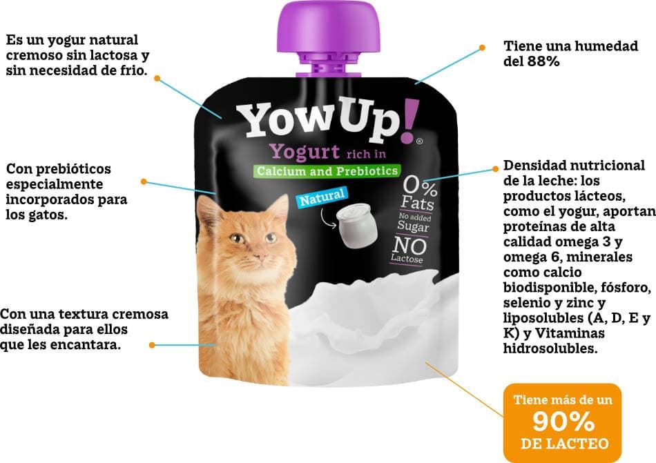 Yow up: yogures para perros y gatos. Sin lactosa, sin azúcar y sin grasa. - Imagen 3